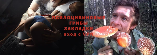 твердый Новозыбков