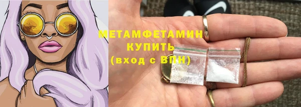 твердый Новозыбков