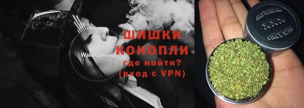 твердый Новозыбков