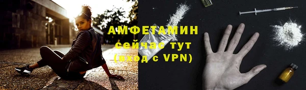 твердый Новозыбков