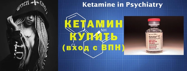 крисы Новодвинск