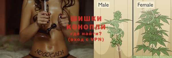 молекула духа Новокубанск