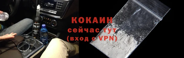 твердый Новозыбков