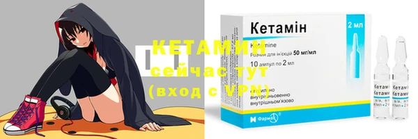 крисы Новодвинск