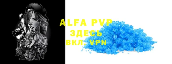 твердый Новозыбков