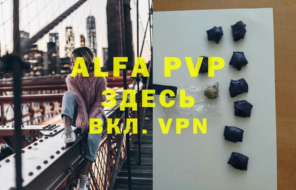 крисы Новодвинск