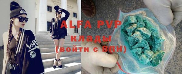 крисы Новодвинск