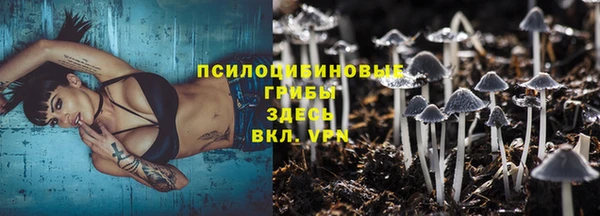 крисы Новодвинск