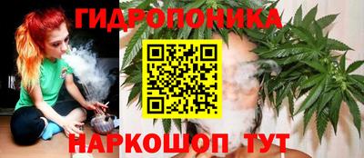 Альфа ПВП Заволжье