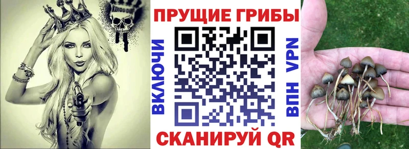 Псилоцибиновые грибы прущие грибы  Кохма 