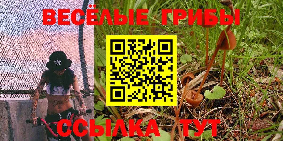 Галлюциногенные грибы Cubensis  Псилоцибиновые грибы MAGIC MUSHROOMS  Вход с VPN  Кохма 