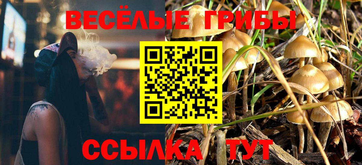 Псилоцибиновые грибы GOLDEN TEACHER Кохма